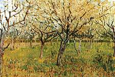 Orchard with Blossoming Apricot Trees Oil Painting