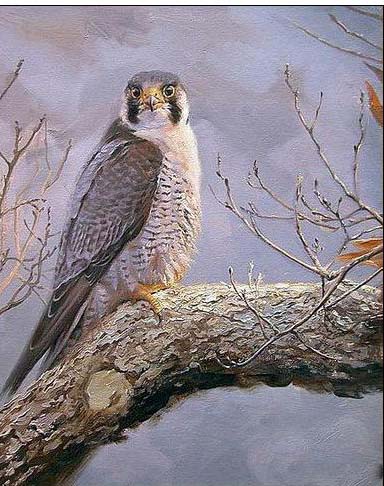 Animal oil painting