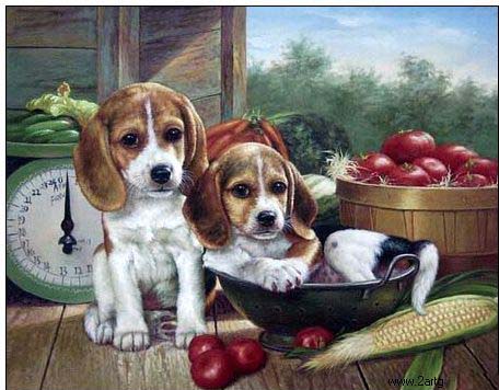 Animal oil painting