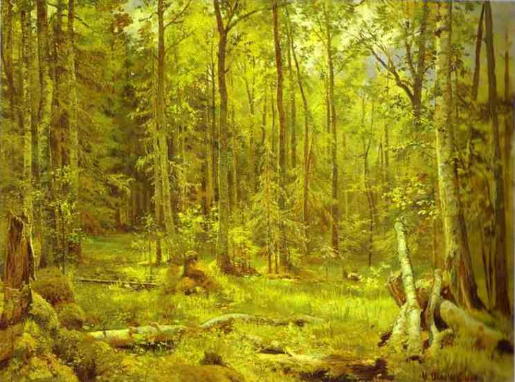 Oil painting:Mixed Forest. Shmetsk Near Narva. 1888