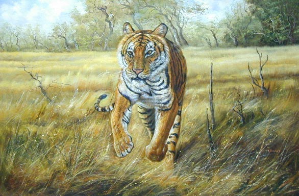 Oil painting for sale:tiger-006