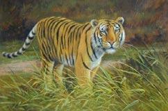 Oil painting for sale:tiger-003