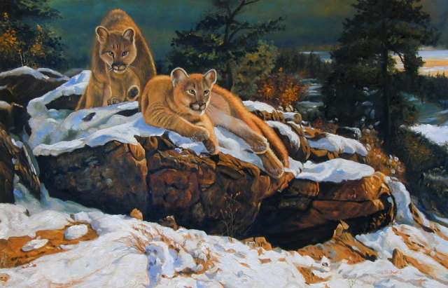 Oil painting for sale:lion-009