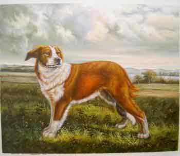 Oil painting for sale:dogs-033