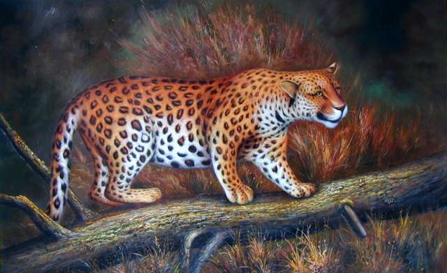 Oil painting for sale:leopard-006