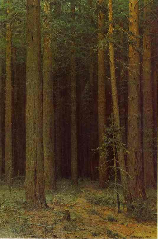 Oil painting:Forest Reserve. Pine Grove. 1881