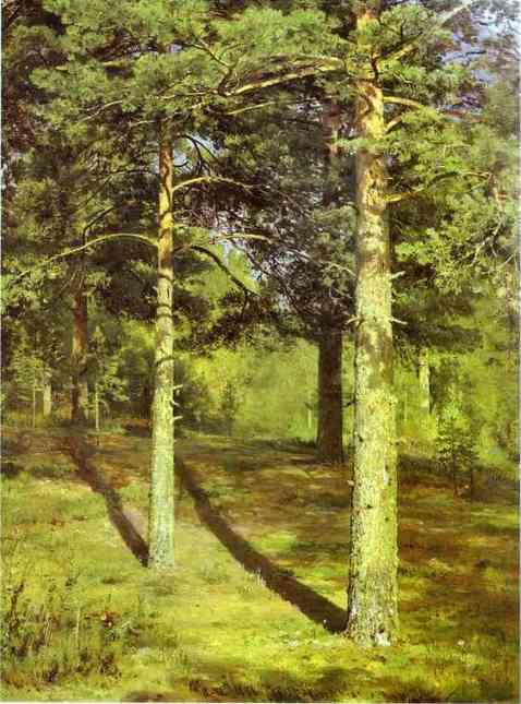 Oil painting:Pine-Trees Lit Up by the Sun. 1880