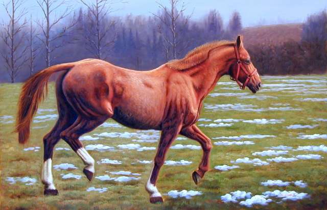 Oil painting for sale:horses-021