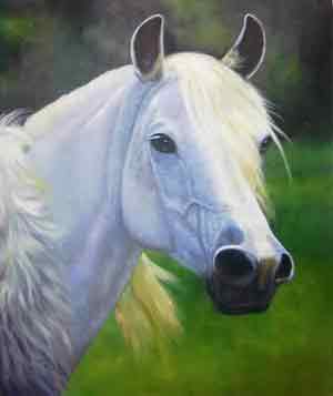 Oil painting for sale:horses-034