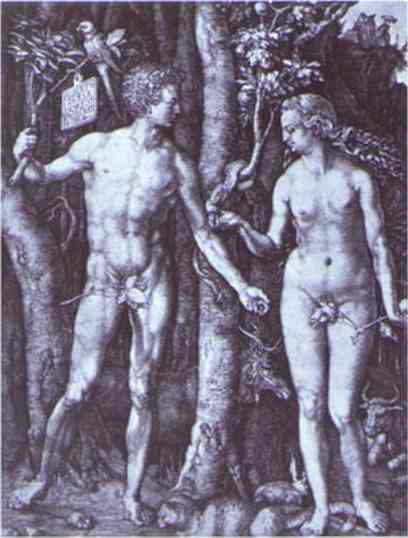 Oil painting:Adam and Eve. 1504