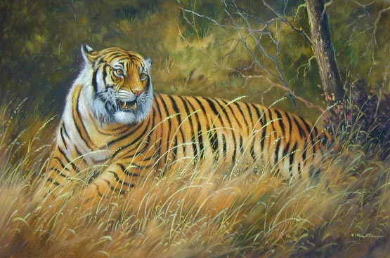 Oil painting for sale:tiger-007