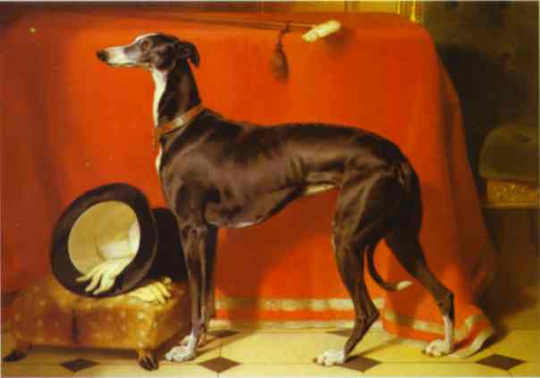 Oil painting:Eos, A Favorite Greyhound, the Property of H.R.H. Prince Albert. 1841