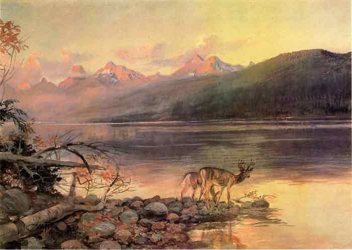 Oil painting for sale:Deer at Lake McDonald, 1908