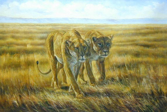 Oil painting for sale:lion-004