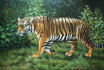 Oil painting for sale:tiger-009