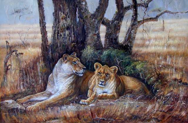 Oil painting for sale:lion-010