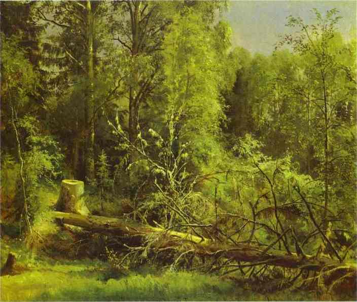 Oil painting:Fallen Tree. 1875