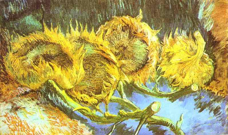 Four Cut Sunflowers. August-September 1887