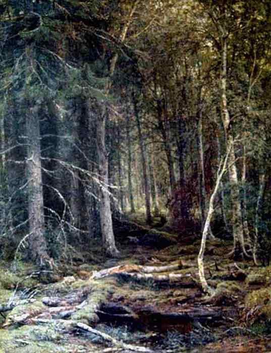 Oil painting for sale:In the Forest