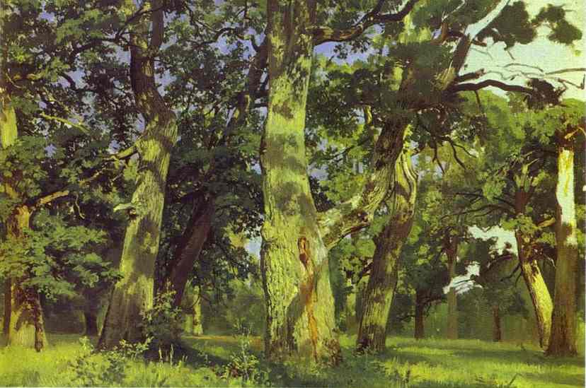 Oil painting:Oaks. Evening. Study. 1887