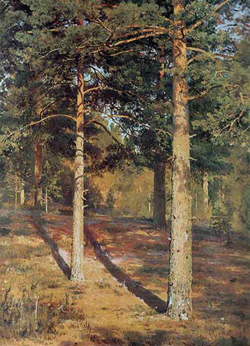 Oil painting for sale:The Sun-lit Pines, 1886
