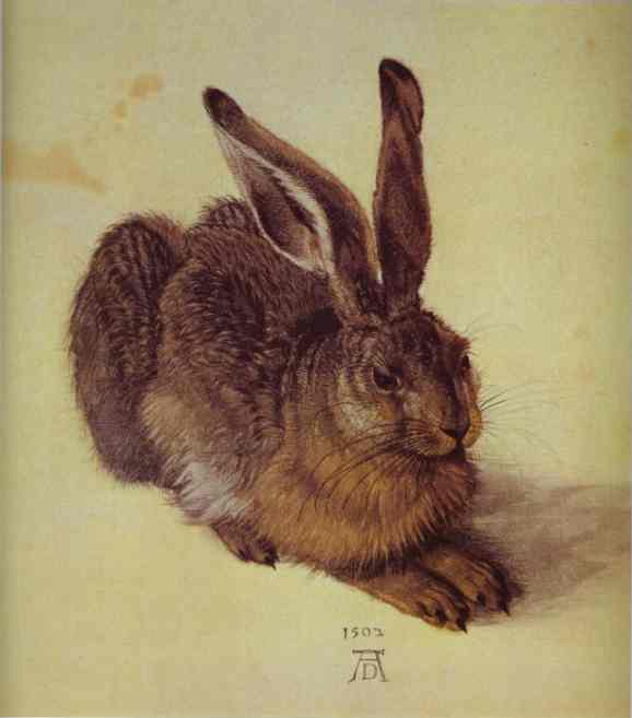 Oil painting:A Young Hare. 1502