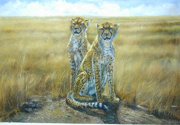 Oil painting for sale:leopard-004