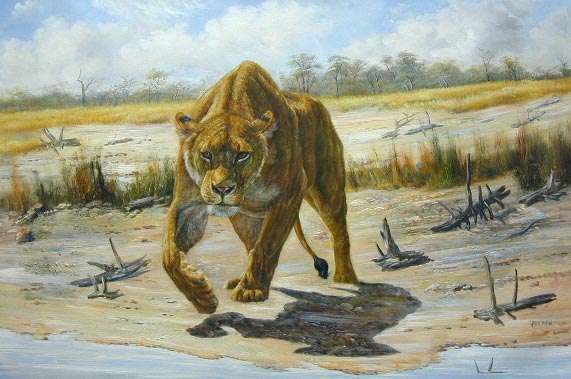 Oil painting for sale:lion-008