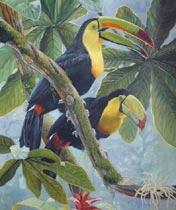 Oil painting for sale:birds-010