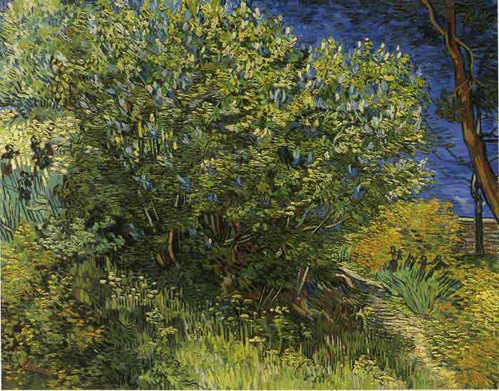 Oil painting for sale:Lilac Bush, 1889