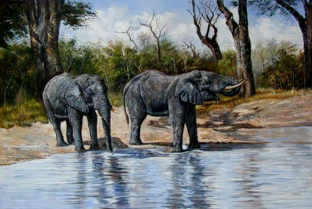 Oil painting for sale:elephant-006