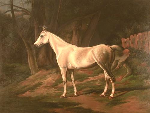 Oil painting for sale:horses-014