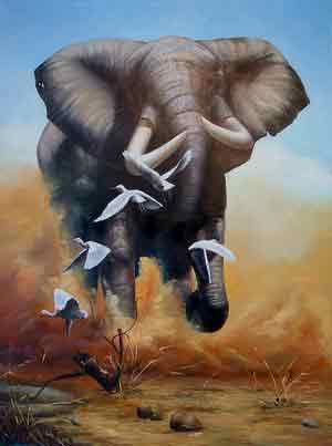 Oil painting for sale:elephant-009