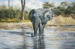 Oil painting for sale:elephant-003