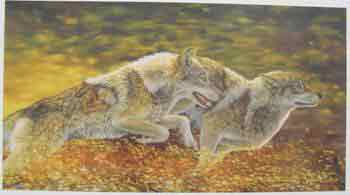 Oil painting for sale:dogs-032