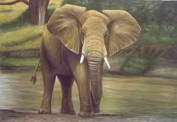 Oil painting for sale:elephant-015