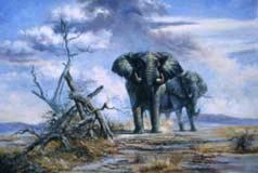 Oil painting for sale:elephant-002