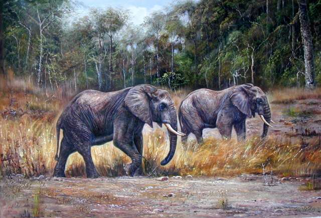 Oil painting for sale:elephant-008