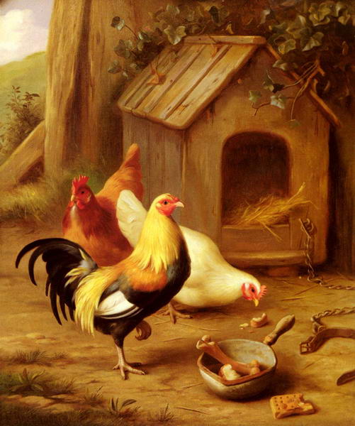 Chickens in a Farmyard
