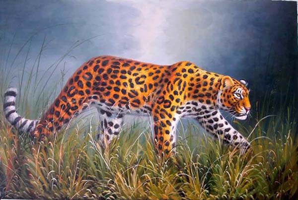 Big Cats BC 2110