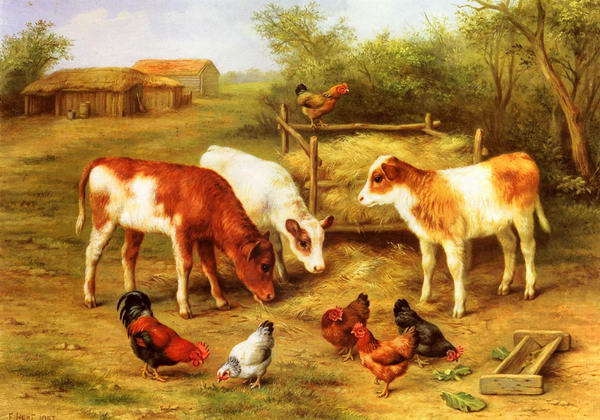 Calves and Chickens Feeding in a Farmyard