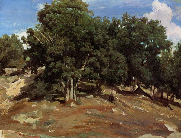 Fontainbleau - Black Oaks of Bas Breau