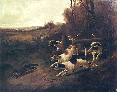 Foxhunting