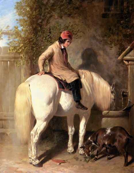 Refreshment - A Boy Watering His Grey Pony