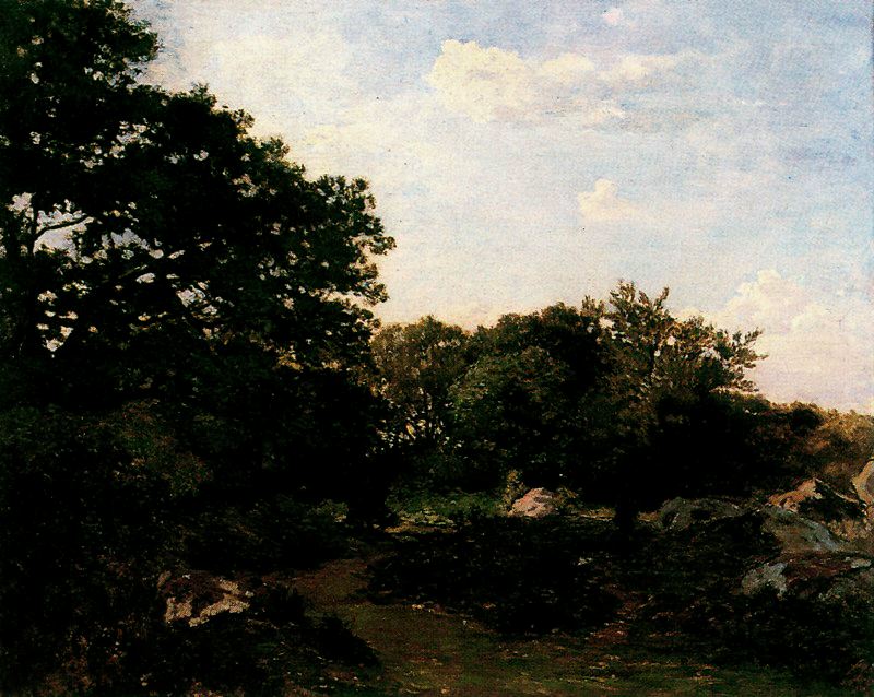 The Fontainebleau Wood