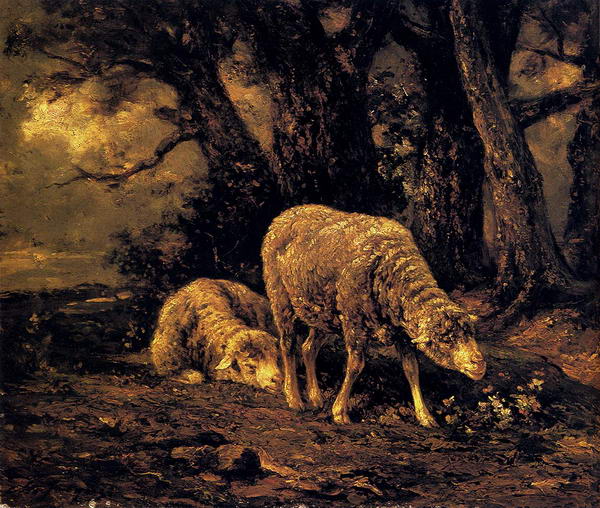 Sheep in a Forest