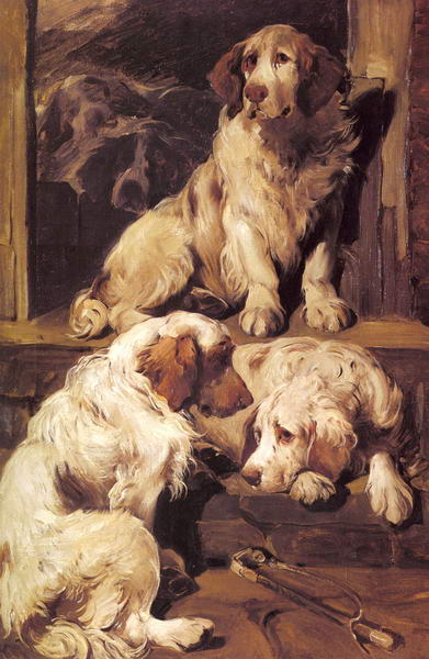 Spaniels