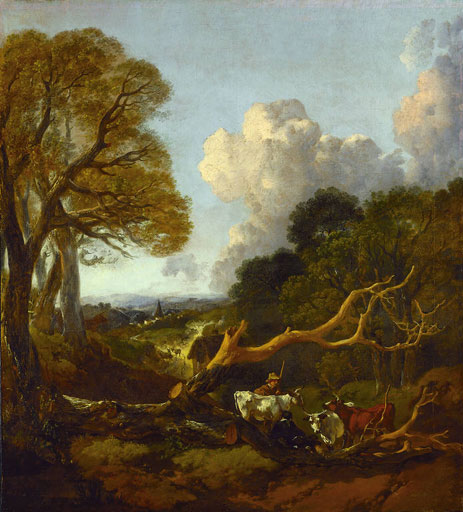 The Fallen Tree