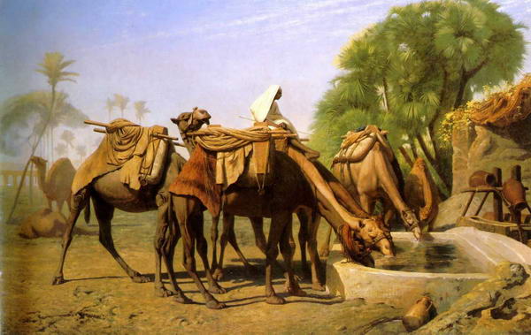 Camels at the Fountain