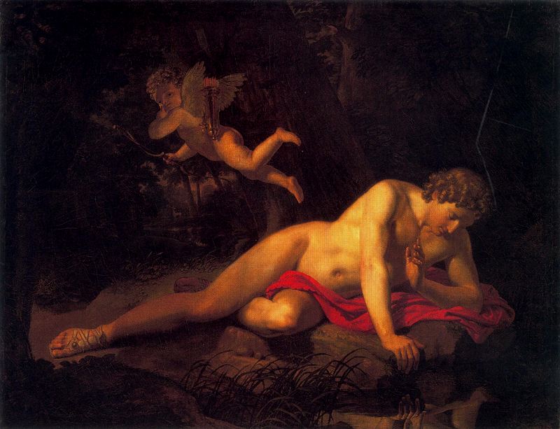 Narcissus